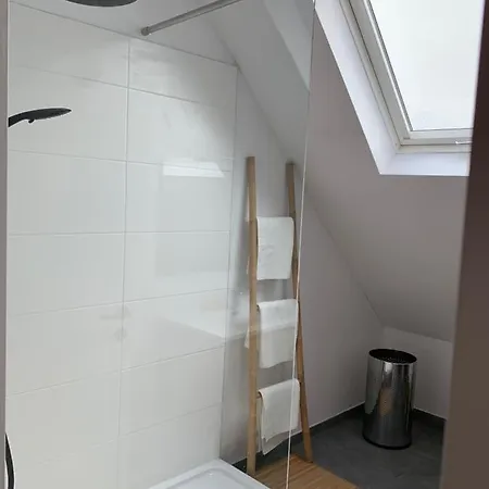 公寓 Chez Lileaula - Boho Duplex In Belle Epoque 奥斯滕德